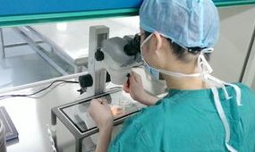 北京做试管的费用是多少？试管婴儿的步骤是什么？