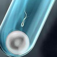 俄罗斯试管婴儿流程及时间安排全解析