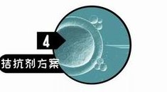 综合医院试管婴儿检查胚胎科室推荐