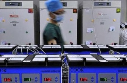 2026年卵巢早衰可以去沧州市妇幼做三代试管吗？需要花费多少钱？